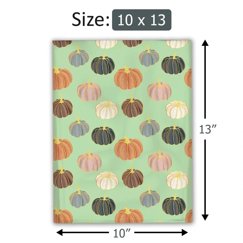 Pumpkin Patch 🎃 10x13 Poly Mailers Pack of 25